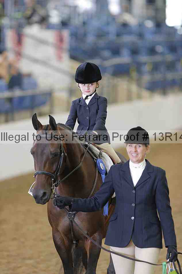 Proof 13r14_6317