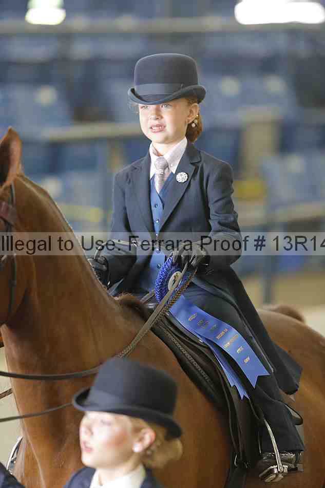 Proof 13r14_6325