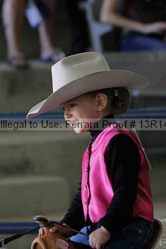 Proof 13r14_6333