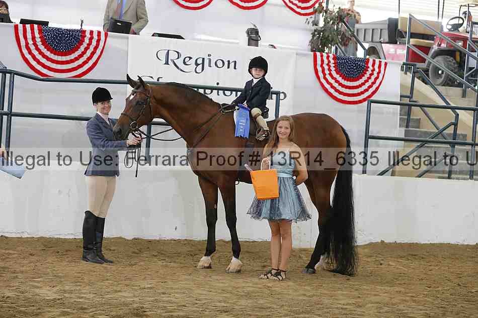 Proof 13r14_6335