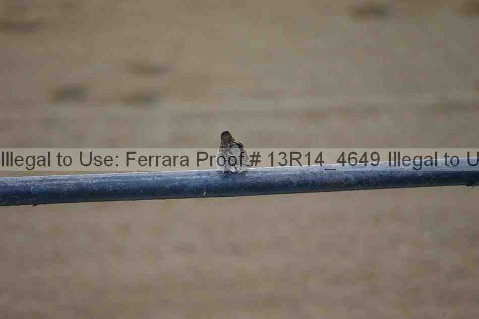 Proof 13r14_4649