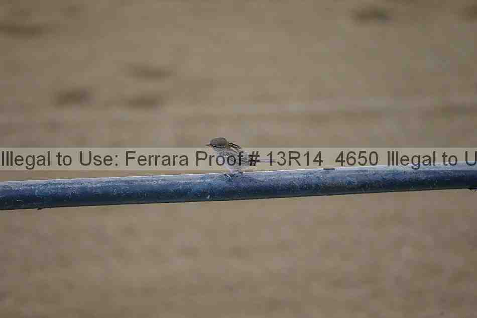 Proof 13r14_4650