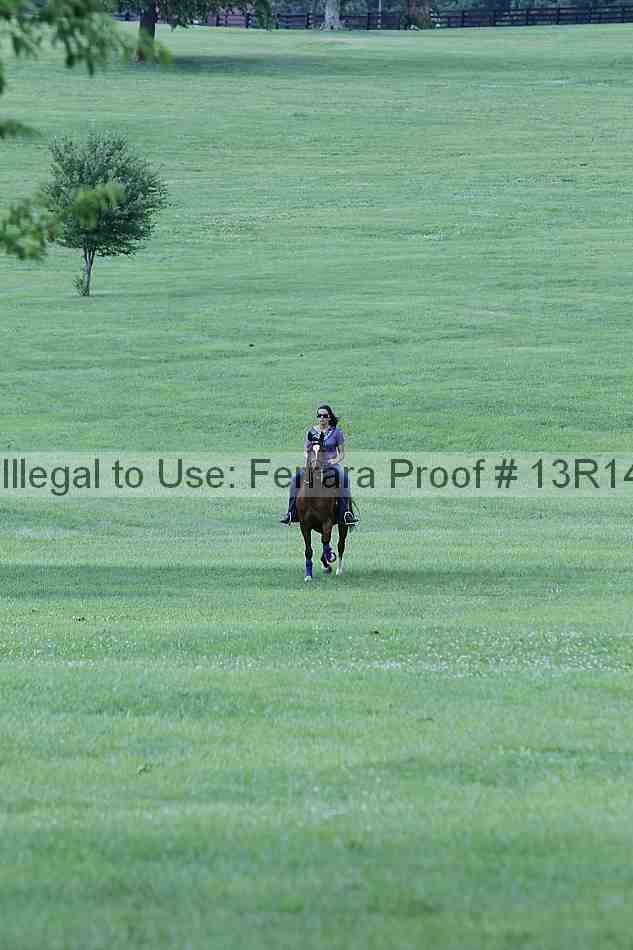 Proof 13r14_4963