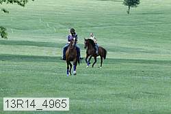 13r14_4965 proof