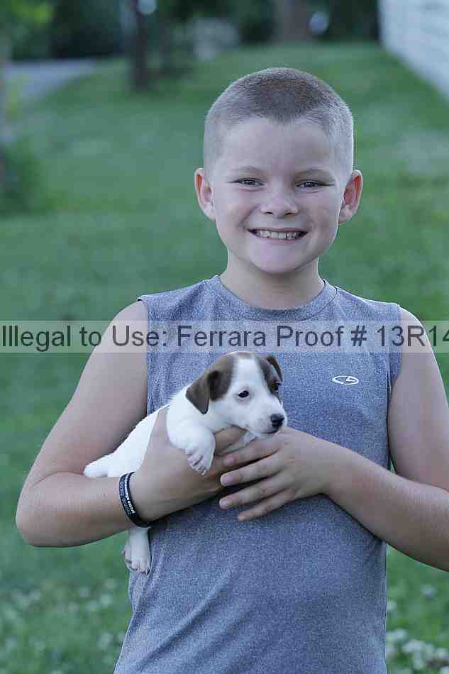 Proof 13r14_5086