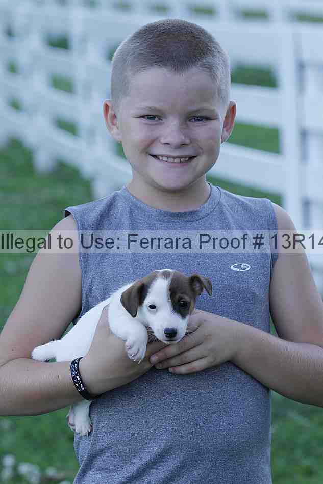Proof 13r14_5087