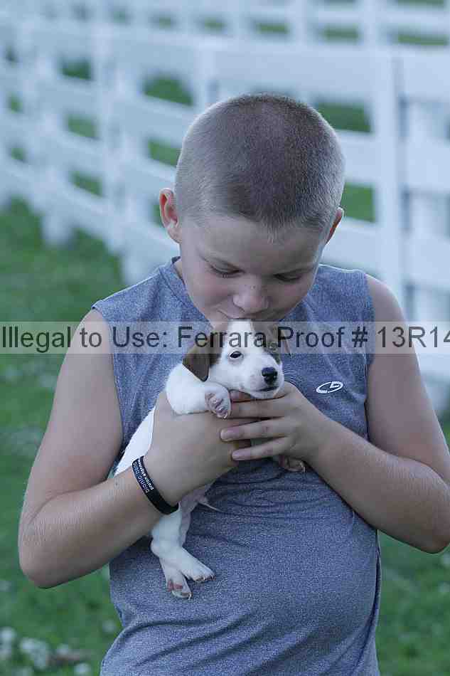 Proof 13r14_5088