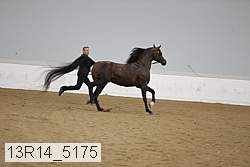 13r14_5175 proof