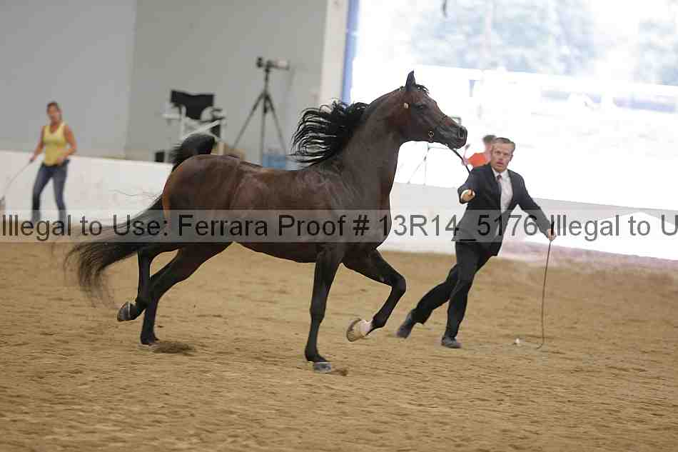 Proof 13r14_5176