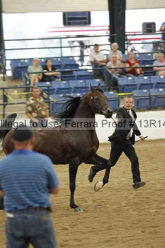 Proof 13r14_5177