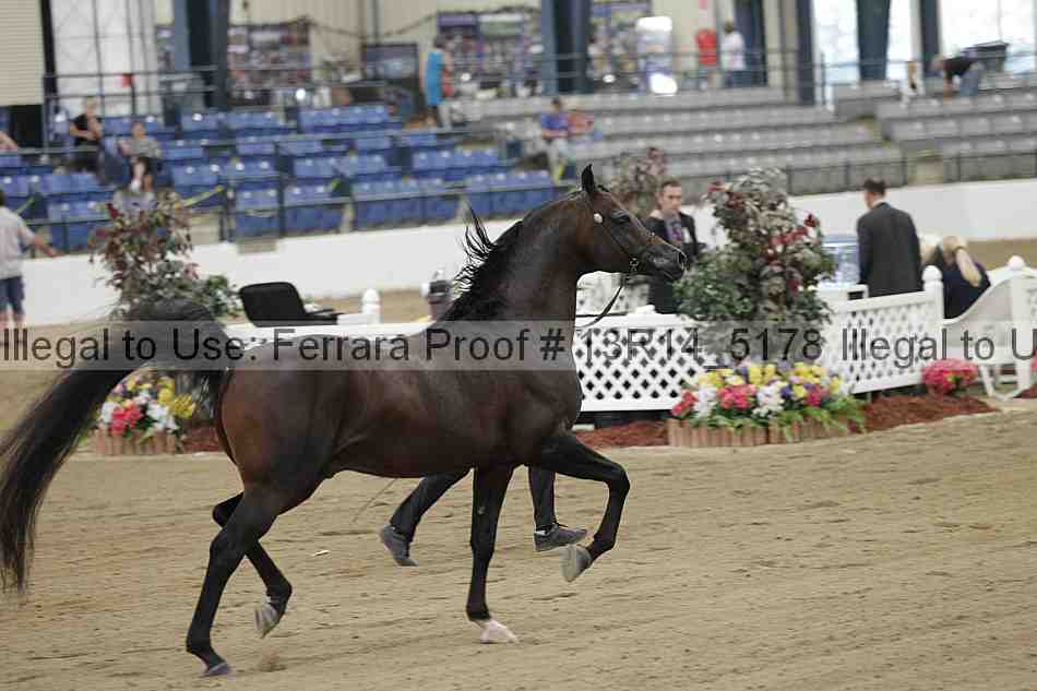 Proof 13r14_5178