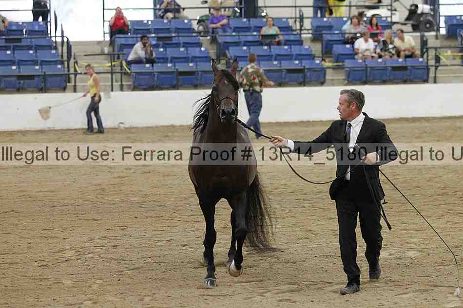 Proof 13r14_5180