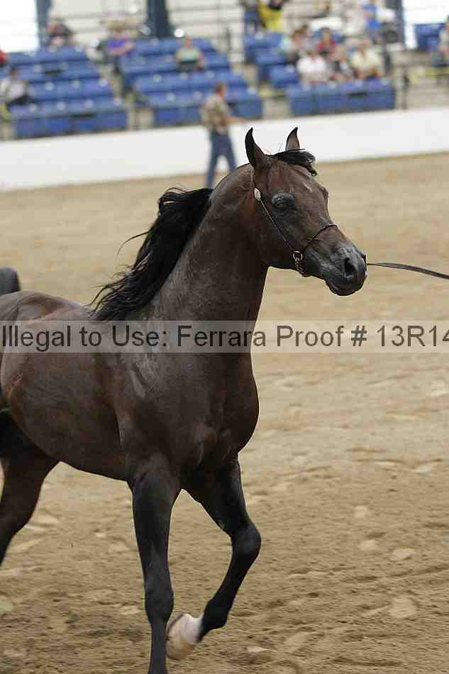 Proof 13r14_5181