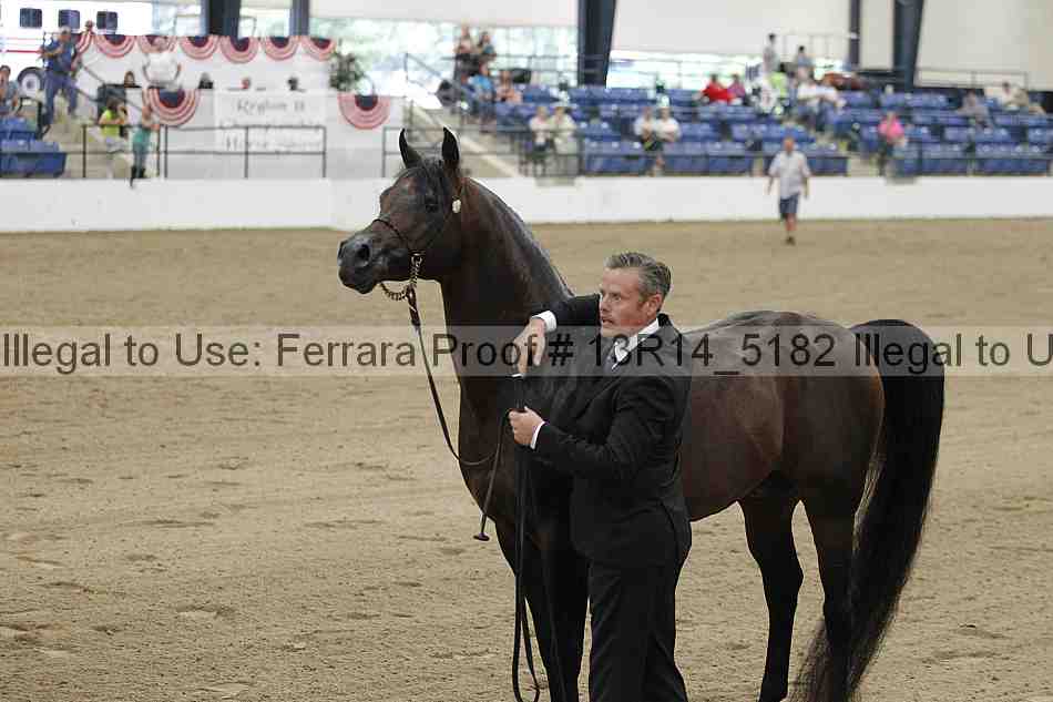Proof 13r14_5182