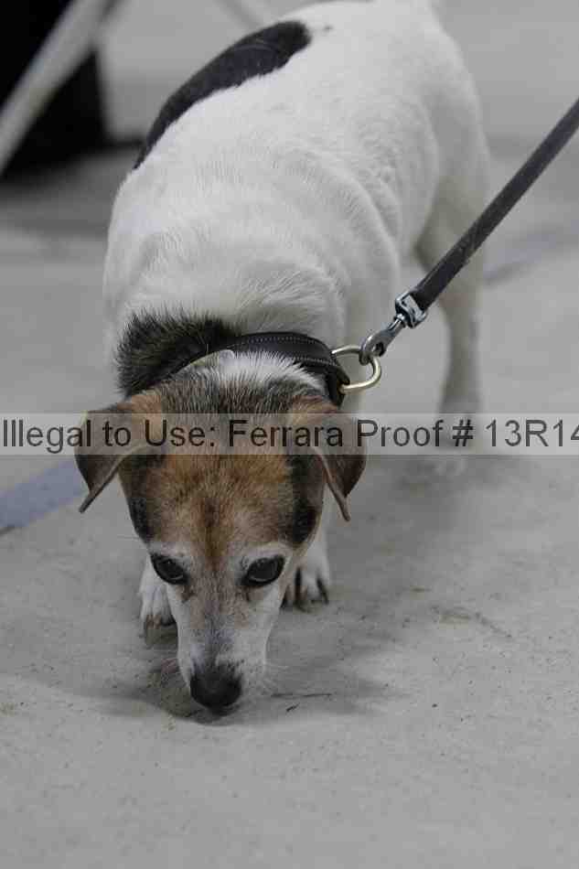 Proof 13r14_5185