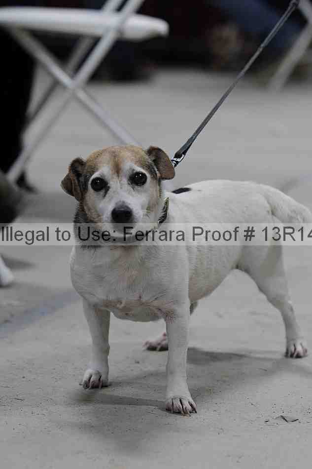 Proof 13r14_5186