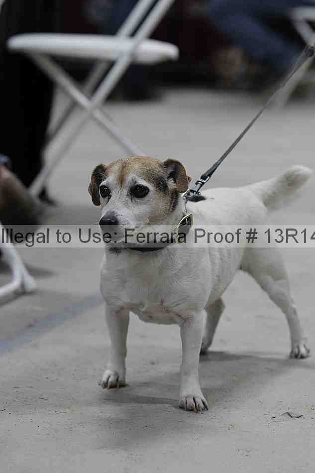 Proof 13r14_5187