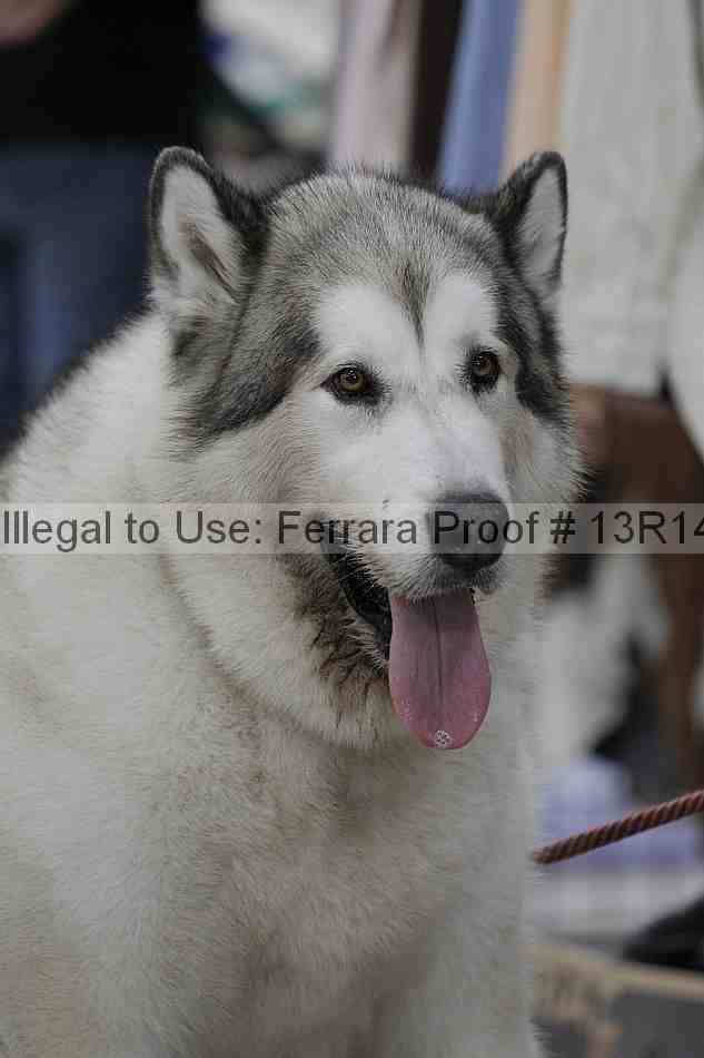 Proof 13r14_5197