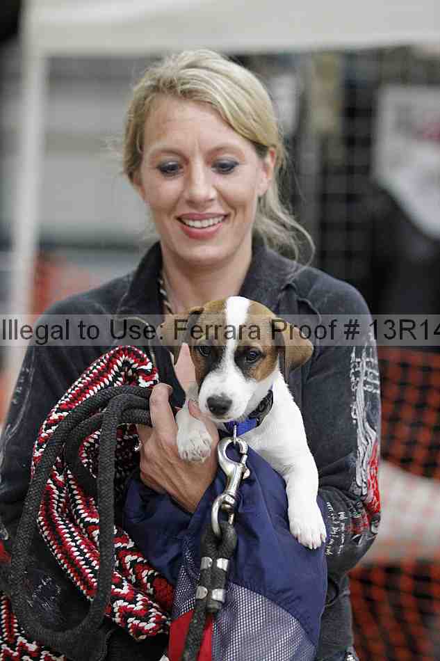 Proof 13r14_5256