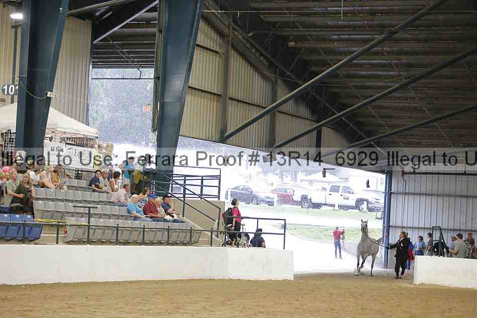 Proof 13r14_6929