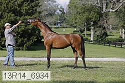 13r14_6934 proof
