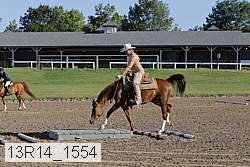 13r14_1554 proof