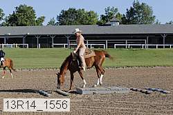 13r14_1556 proof