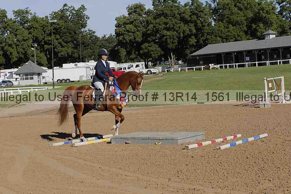 Proof 13r14_1561
