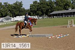 13r14_1561 proof