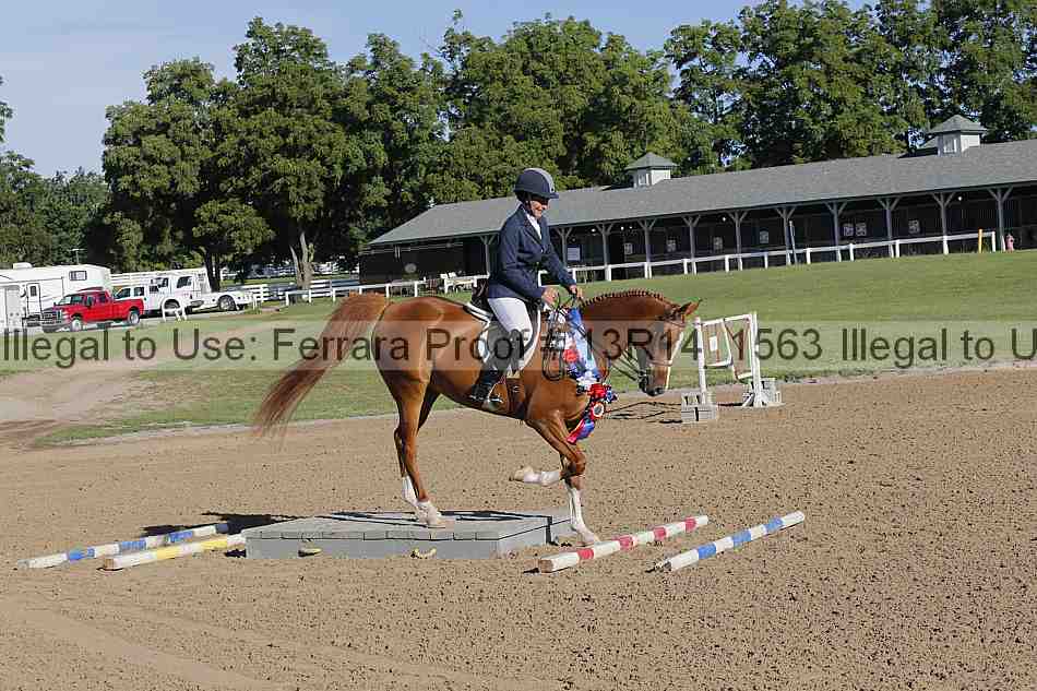 Proof 13r14_1563