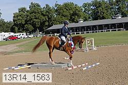 13r14_1563 proof