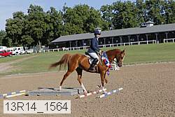 13r14_1564 proof