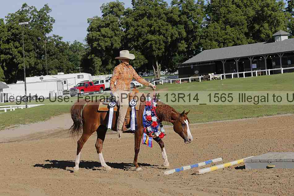 Proof 13r14_1565