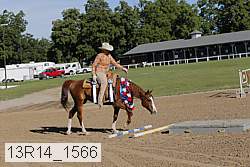13r14_1566 proof