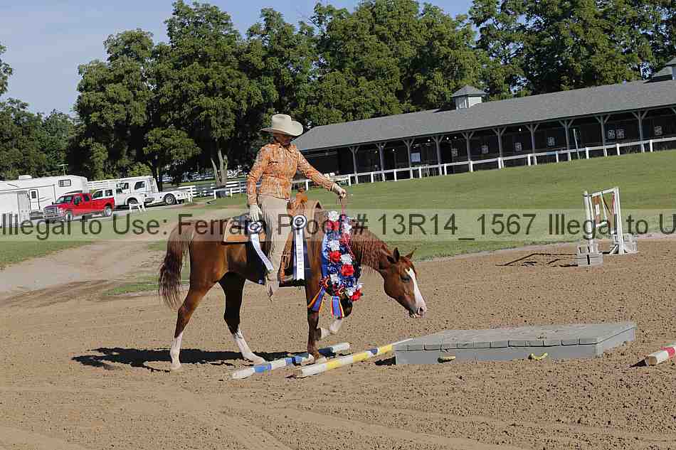 Proof 13r14_1567