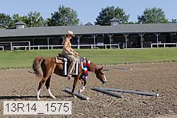 13r14_1575 proof