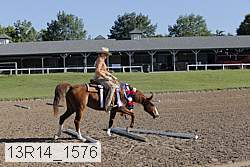 13r14_1576 proof