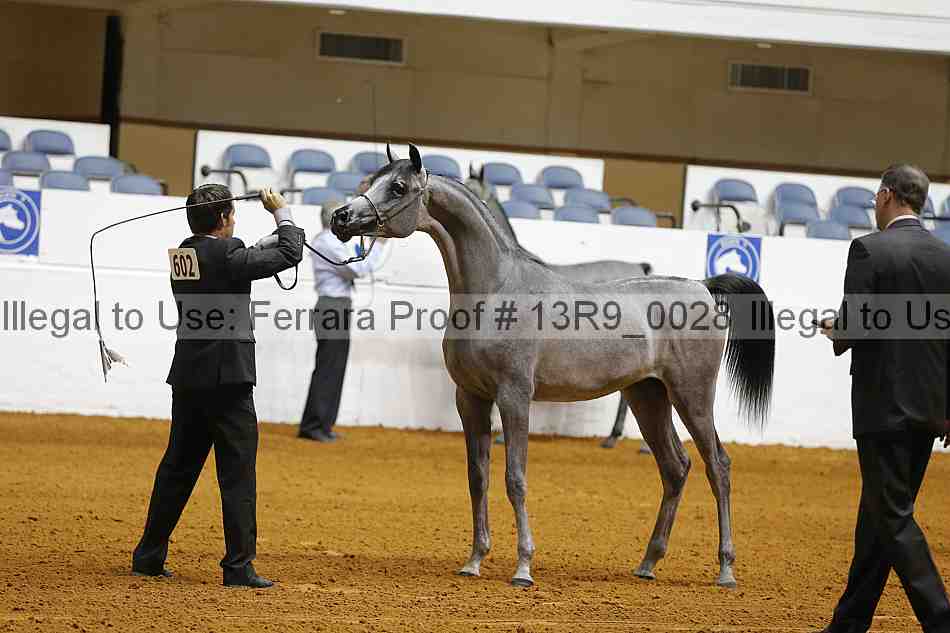 Proof 13r9_0028