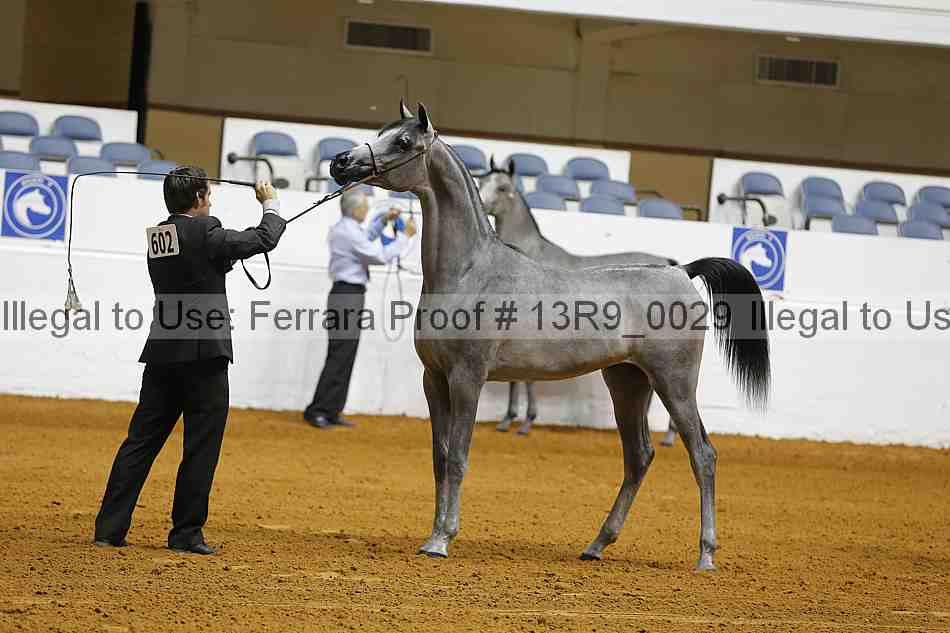 Proof 13r9_0029
