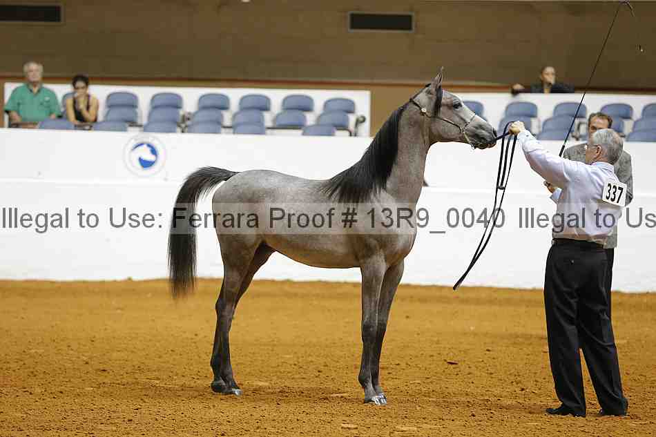 Proof 13r9_0040