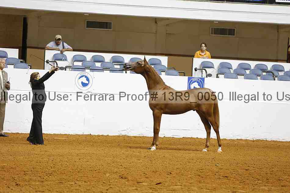 Proof 13r9_0050