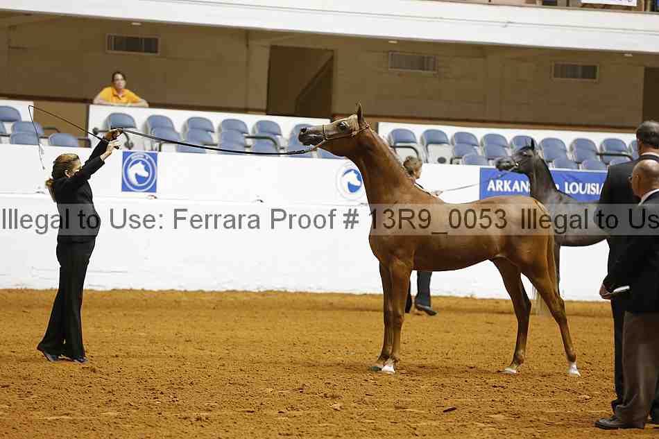 Proof 13r9_0053