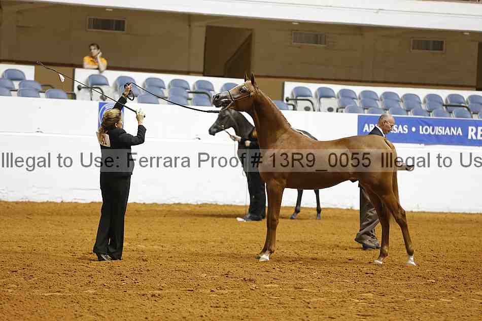 Proof 13r9_0055