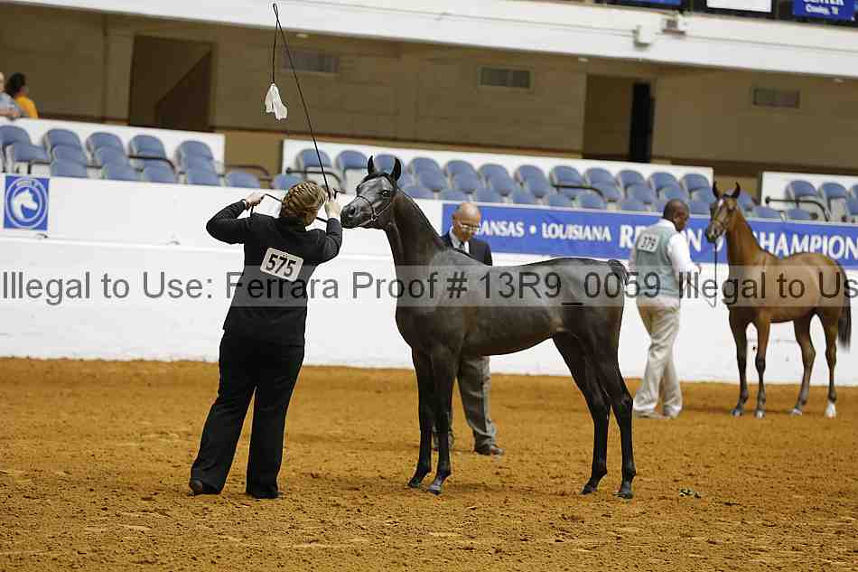 Proof 13r9_0059