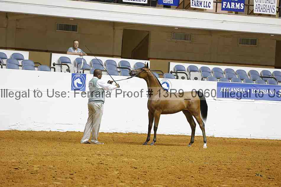 Proof 13r9_0060