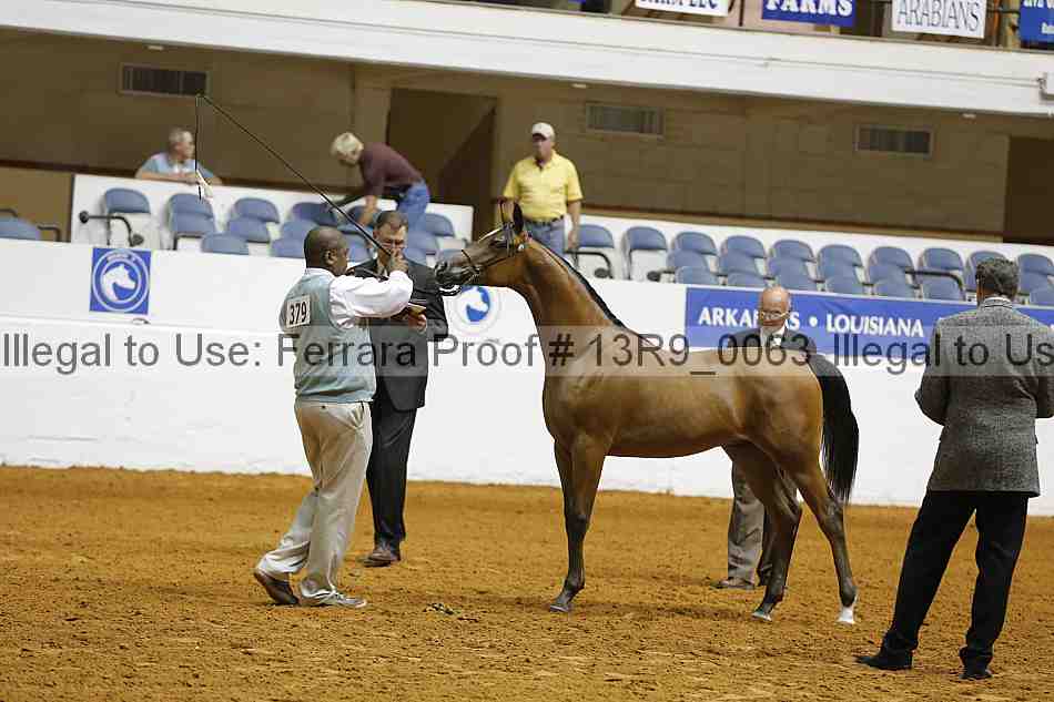 Proof 13r9_0063