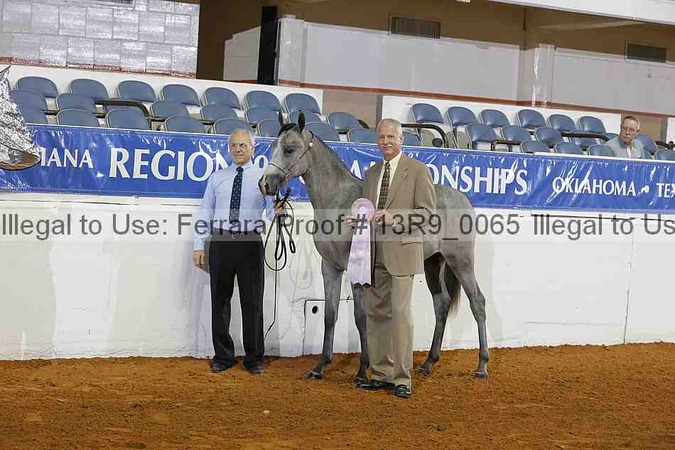 Proof 13r9_0065