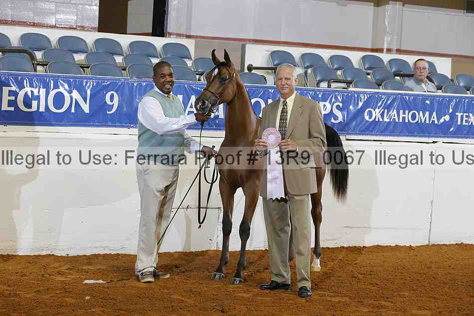 Proof 13r9_0067