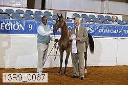 13r9_0067 proof