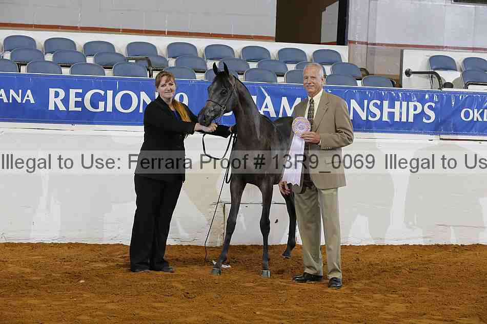 Proof 13r9_0069